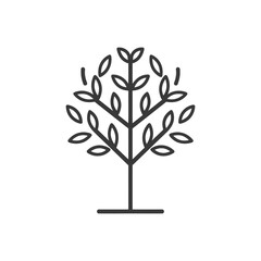Obraz premium Stylized Line Art Depiction of a Tree with Lush Foliage