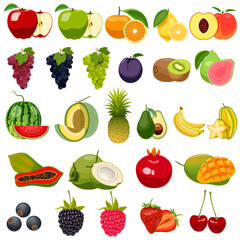 Fruit icons set. Cartoon set of fruit vector icons for web design