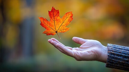 A hand releases a vibrant autumn leaf into the air, symbolizing change, transition, and the passage of time,