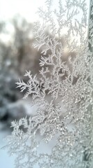 Close-up of delicate frost patterns capturing winter's beauty and the intricate designs of nature's icy artistry.