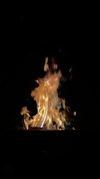 A fireworks in the night sky