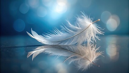 Delicate feather on breeze reflected in water