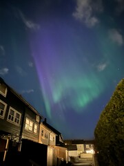Northen lights in lofoten