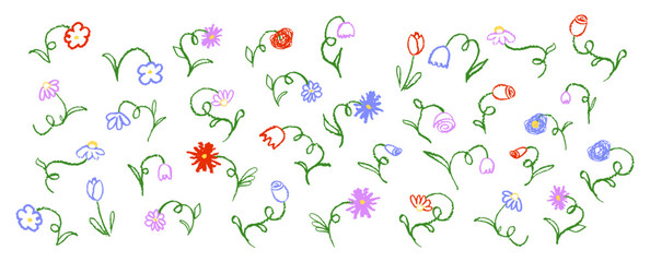 Set of flowers drawing by pastel or charcoal pencil. Vector colorful chalk line flower collection, simple design element on white chalkboard. Like children's drawing cute floral collection