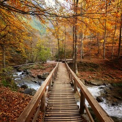 autumn forest scenery with wooden bridge over stream