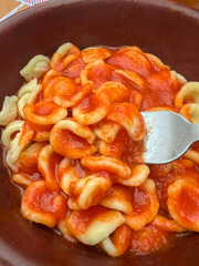 cooked orecchiette pasta with delicious tomato sauce