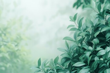 Soft Green Leaves with Tranquil Background