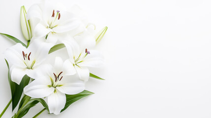 Obraz premium Elegant White Lilies on a White Background - Floral Photography