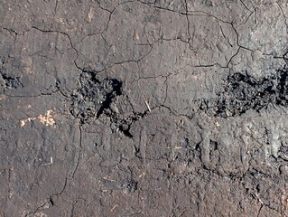 Background from the surface of black soil. The black soil is covered with cracks. Agricultural...