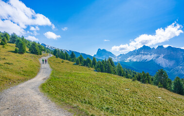  Landscape at Mount Plose in Trentino Alto Adige. South Tyrol, Italy.