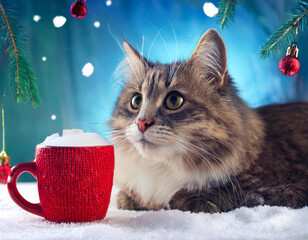  cat, with, christmas, decorations, happy new year snow cup concept 57310