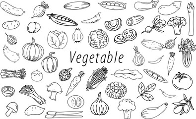 vegetable line art hand drawn doodle