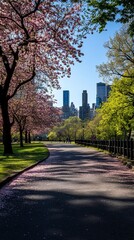 Obraz premium A paved path winds through a park, lined with cherry blossom trees, with a cityscape in the distance.