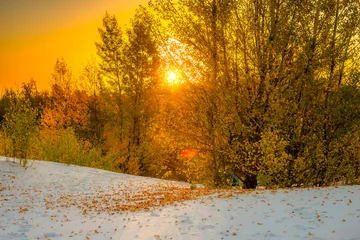 Gardinen Sand quarry at the autumn morning in the golden hour , yellow and orange leaves on trees , beautiful landscape on the sand quarry, Ukrainian sands quarry, october season . Landscape with orange trees  © Aleksandr Riabinin