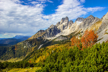 Die Bischofsmütze im Herbstkleid