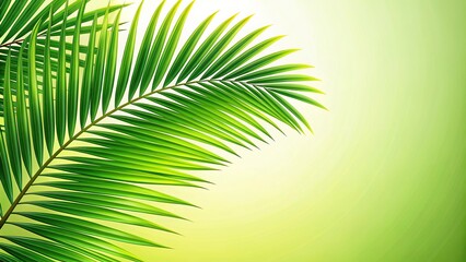 Obraz premium tropical green palm leaf frond background