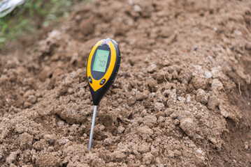 Check pH value in Planting soil before plant something