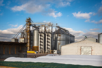 Obraz premium large grain elevator with multiple cylindrical metal silos, structural elements, and a complex system of pipes. It stands against a blue sky, with a field in the foreground after harvest