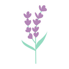 Lavender Leaf Plant Boho Style Icon. Simple Aesthethic Hand Drawn Vector Illustration.