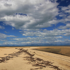 Summer day at Marahau Beach, Nelson.