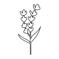 Lavender Two Branches Icon. Boho Outline Vector Illustration Style.