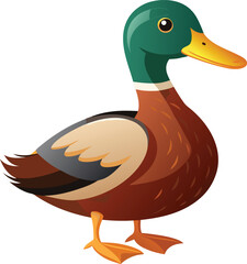 Realistic duck vector on white background  