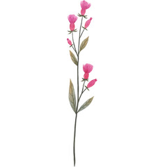 Watercolor Wild Flower Wilf Branch Nature Floral