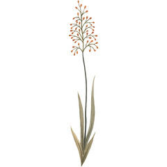 Fototapeta premium Watercolor Wild Flower Wilf Branch Nature Floral