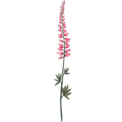 Watercolor Wild Flower Wilf Branch Nature Floral