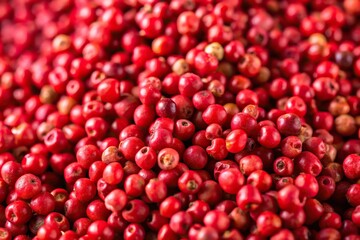 Pink or rose Brazilian red peppercorns from the Schinus terebinthifolius plant on a long shot