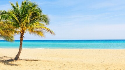 A lone palm tree stands on a white sand beach with turquoise water and blue sky in the background.