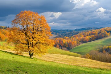 Autumn leaves blaze on a solitary tree in a vibrant rural landscape under cloudy skies
