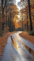 Obraz premium Autumn Road Through Forest with Golden Reflections - Photo