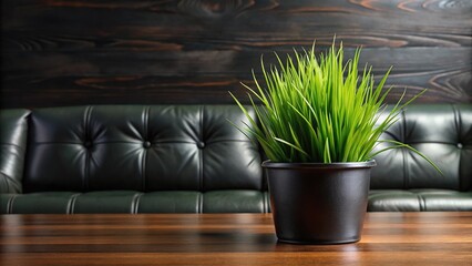 Reflected green grass in black tree pot on wooden table with black leather sofa background