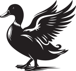 duck isolated on white