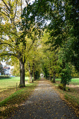 Obraz premium Autumn view at Bernrieder Park on Lake Starnberg, Bavaria, Upper Bavaria, Germany