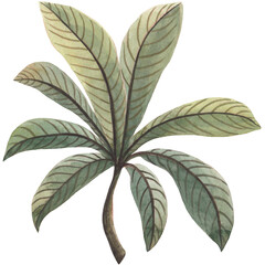 Watercolor Green Leaves and Flowers Clipart – Hand-Painted Botanical Florals and Foliage Elements for Wedding Invitations