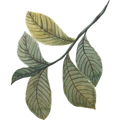 Watercolor Green Leaves and Flowers Clipart – Hand-Painted Botanical Florals and Foliage Elements for Wedding Invitations