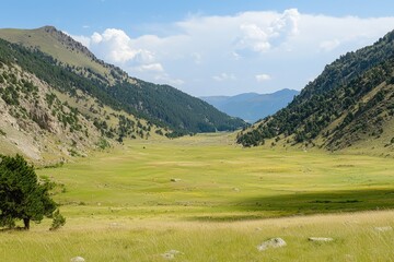 Fototapeta premium A breathtaking view of a lush green valley surrounded by mountains on a sunny day