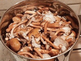 closeup of raw honey mushrooms in a pan