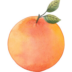 Watercolor Fruit Clipart Collection – Hand-Painted Tropical and Fresh Fruits Including Berries