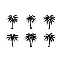 Naklejka premium Tropical palm tree vector on white background, Instant Digital Download. Illustration for prints on t-shirt and bags, posters 