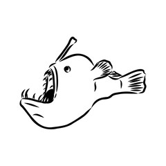 Angler fish, Lophiiformes, vector illustration. Drawing