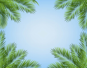 Naklejka premium eTropicalPalmTreeFrameWithIBlueSky_10_M_241012