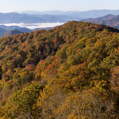 autumn in the mountains