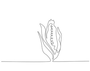 Continuous one line drawing of corn vegetable. One line drawing illustration of vegetarian food. Vegetarian, ingredient concept single line. Editable outline