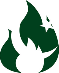 Obraz premium Pakistan Flag In Fire
