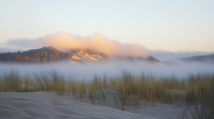 Obraz premium Soft sand dunes illuminated by mist in Australia