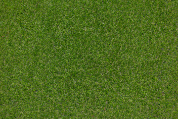 Fototapeta premium Artificial grass, covering. Artificial green grass mat, top view. Texture. Background. Artificial turf, surface made of synthetic fibers. Flat green grass texture background. Short grass