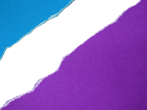Several pieces of multi-colored torn-edge paper isolated on transparent background.